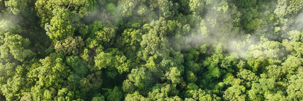 FugitiveEmissionsOverview_en-co