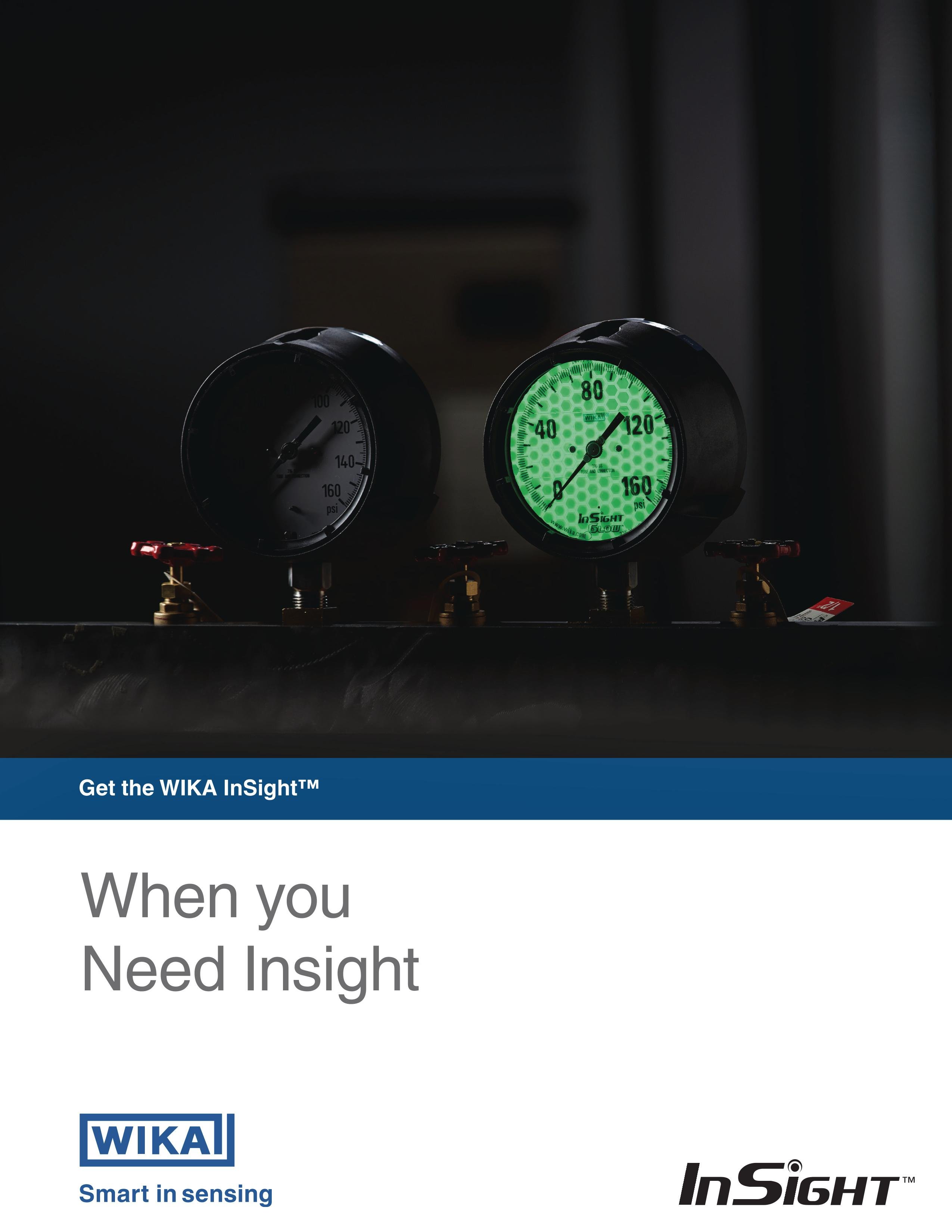 FL_Insightgauges_en_us